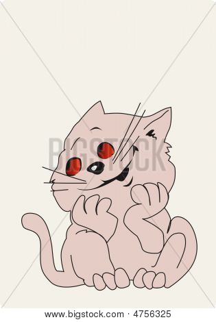 Gato