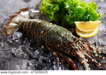 Spiny Lobster Seafood On Ice, Fresh Lobster Or Rock Lobster With Herb And Spices Lemon Coriander Par