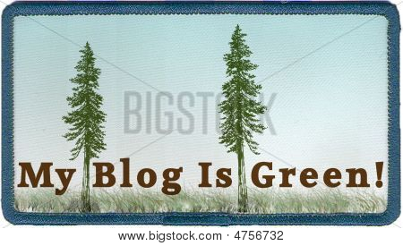Il mio Blog è verde