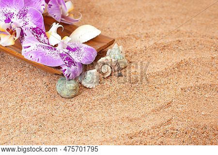 Purple Orchid In Wooden Bowl On The Sand Of Beach With Seashells. Aesthetic Photography. Travel, Sum