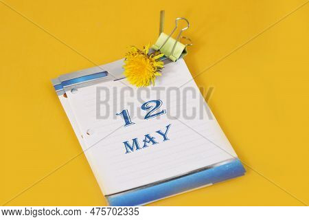Calendar For May 12: Desk Calendar With Yellow Dandelion, Number 12, Name Of The Month May In Englis