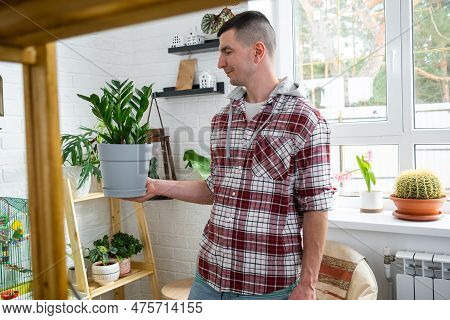 Unpretentious And Popular Zamiokulkas In Hands Of A Man In Interior Of A Green House With Shelving C