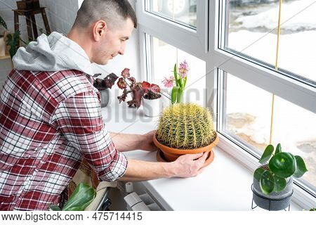 Large Echinocactus Gruzoni In The Hands Of Man In The Interior Near The Window On The Windowsill Of 