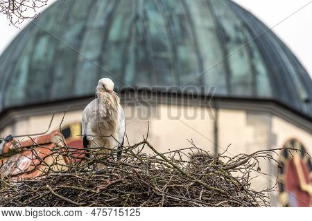 White Stork, Ciconia Ciconia On The Nest In Oettingen, Swabia, Bavaria, Germany In Europe