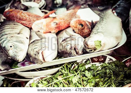 Fresh Fish At The Market