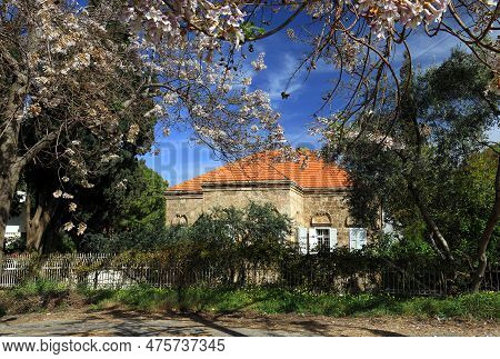 A Traditional Lebanese House With A Flowering Tree In Spring.
