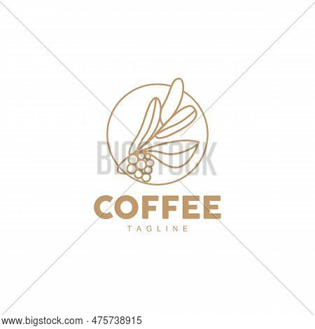 Coffee Logo, Coffee Tree Design, Cafe Drink Vector, Icon Brand Illustration Symbol