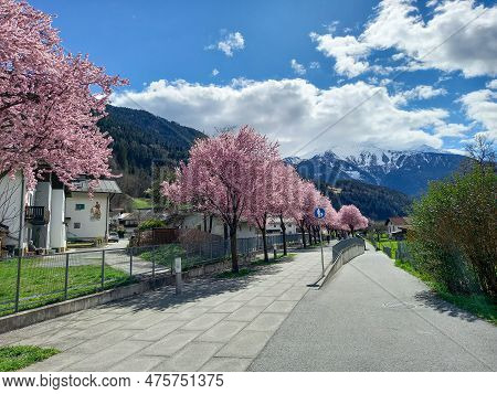 A Beautiful Pink Alley In Zams (austria)