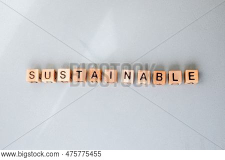 Eco-friendly Cubes. The Word Sustainble Is Made Up Of Wooden Cubes On A Gray Concrete Background. Th