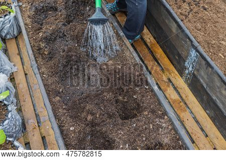 Close Up View Of Man In Greenhouse Watering Deepening  In Garden Bed Before Planting Plant. Sweden.