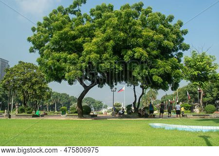 Rizal Park, Manila, Philippines July 2, 2014: Giant Tree At The Rizal Park Along Taft Ave., Manila, 