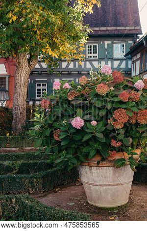 Traditional German Houses With Nice Garden In Fall. Flowers In The City Park Of Bietigheim-bissingen