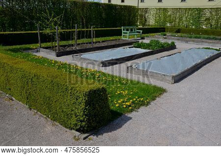 Frost Protection Of Vegetables. The Gardener Covered The White Breathable Foil Bed. Frost Does Not B