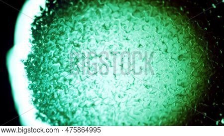 Beautiful Dark Green Ingrained Lines Texture - Abstract 3d Rendering