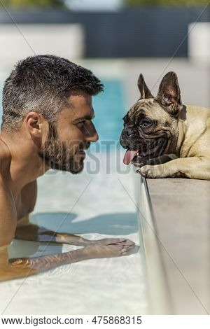 Blue, Dog, Pedigree, Wet, Brown Dog, Big Eye, Brown, Pet, Splash, Healthy, Water Spray, Swimming Poo