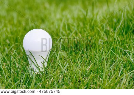 Led Lamp Bulb On Green Grass. Energy Saving. Green Energy