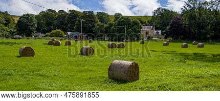 Lots Of Rolls Of Pressed Hay On A Green Farm Field In Ireland On A Summer Day. Irish Agricultural La