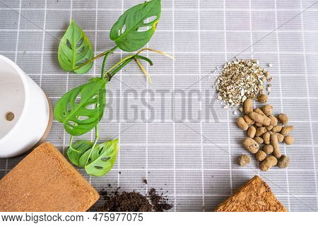 Ingredients For Transplanting Domestic Plants, Soil Composition, Drainage, Coconut Briquette And Coc