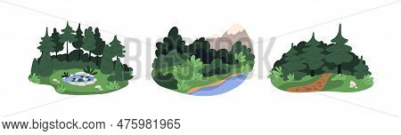 Summer Nature Landscapes. Forest, Green Grass, Water, Pond With Lily, Pine And Fir Trees, Woods And 