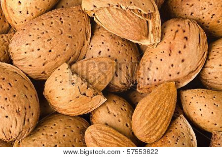 Almonds  Background