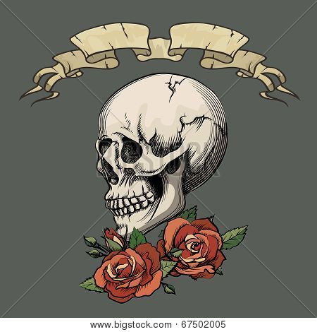Human skull with roses