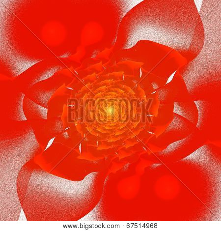 Rose fractal