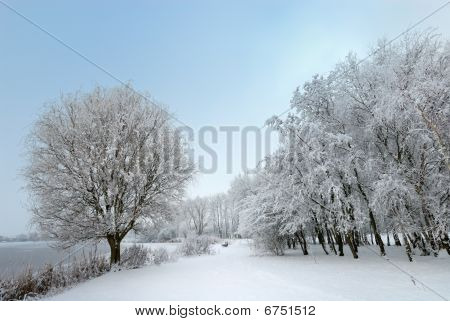 Paesaggio invernale nei Paesi Bassi