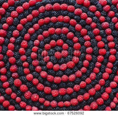 Spiral of berry. Raspberry and mulberry