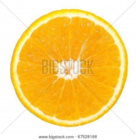 Orange Fruit Slice