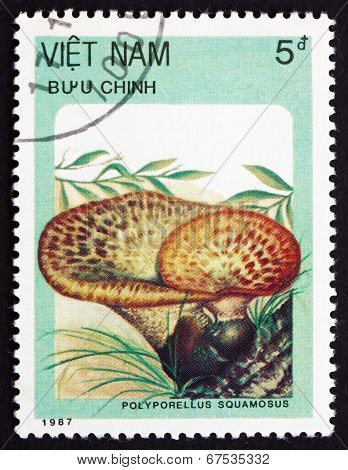 Postage Stamp Vietnam 1987 Polyporellus Squamosus, Mushroom