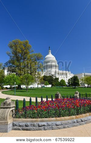 The Capitol in Spring - Washington D.C. United States