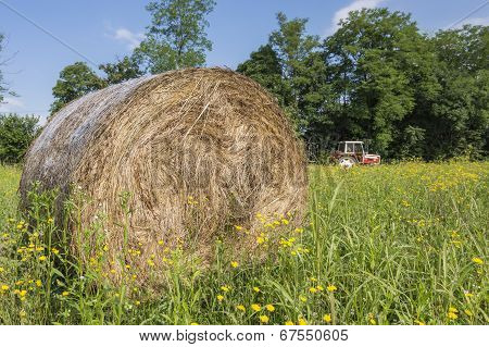 Hay bales