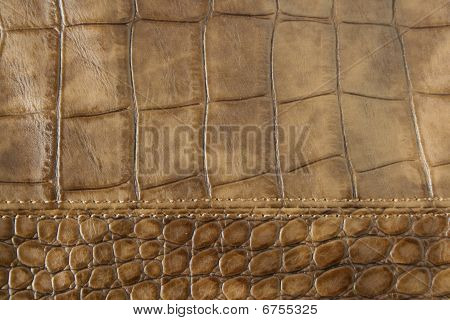 Cuir