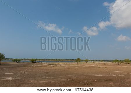 Yala National Park