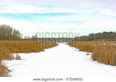 Frozen Creek In Winter