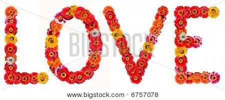 blomstens ord