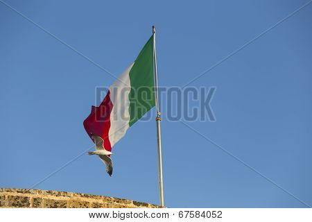 Seagulls Flying Near Italian Flag