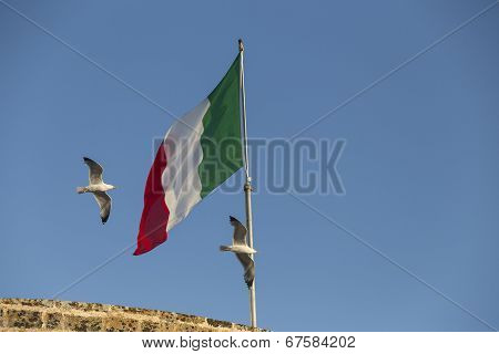 Seagulls Flying Near Italian Flag