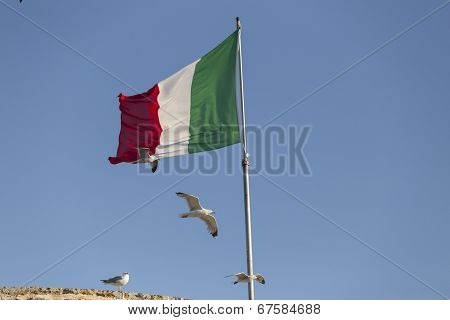 Seagulls Flying Near Italian Flag