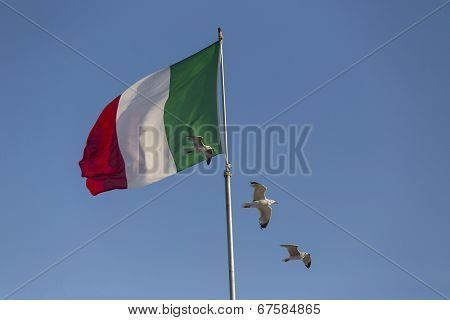 Seagulls Flying Near Italian Flag