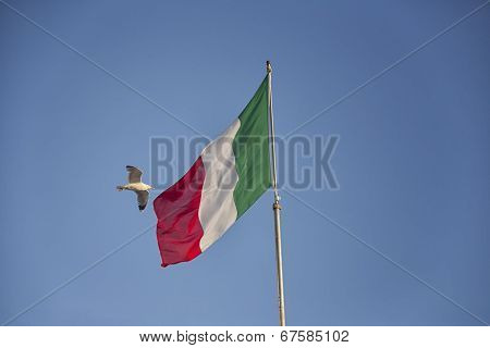 Seagulls Flying Near Italian Flag