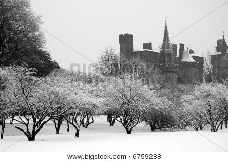 Bute Park, Cardiff