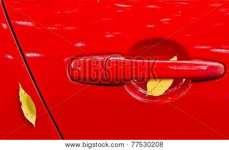 Leaves On Red Car