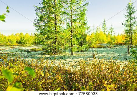 Landscapes Of The Far North