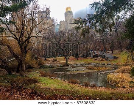 Central Park in Color