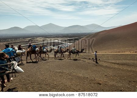 TIMANFAYA - MARCH 31: Tourists taking a camel ride on March 31, 2015 in Timanfaya National Park, Lanzarote island, Spain. The parkland is entirely made up of volcanic soil.