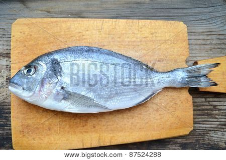 Uncooked fish dorado on wooden board