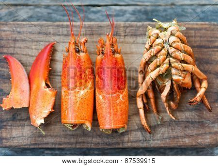 Lobster