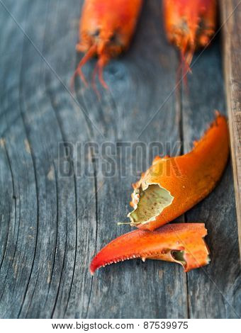 Lobster