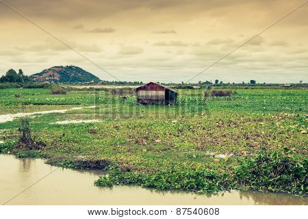 Homes On Stilts On The Floating Village Of Kampong Phluk, Tonle Sap Lake,siem Reap Province, Cambodi